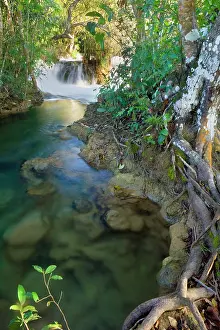 Winds: Rio Formoso waterfall - crystal clear Formoso River