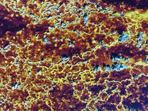 Weird: Detail of the Rio Tinto (Red river) with its deep