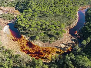 Mines: The Rio Tinto (Red river) flowing through a forest