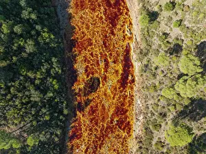 Mines: The Rio Tinto (Red river) flowing through a forest
