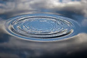 030220: Ripple on Water - Lakenheath Fen - England - UK