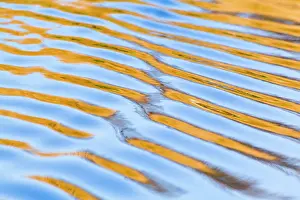 Broads: Rippled Reflections