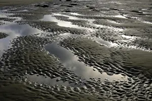 Rippled: Rippled Sand