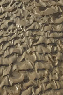 Ridges: Ripples of Mud, Utah