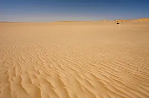 Forming: Ripples of sand forming patterns on the ground