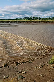 Bore: RIver Bore - Tidal bore in a river. Upper Bay of