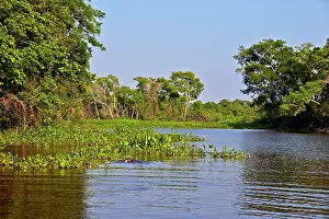 Cuiaba: River Cuiaba Black channel Pantanal area Mato Grosso