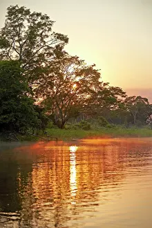 Cuiaba: River Cuiaba Black channel Pantanal area Mato Grosso