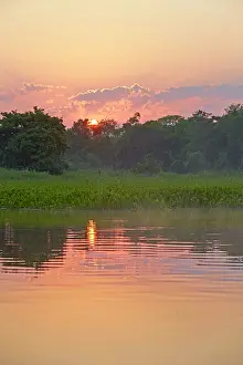 Cuiaba: River Cuiaba Black channel Pantanal area Mato Grosso