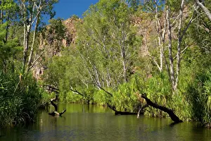 Permanent: River in the desert - a permanent river cuts its