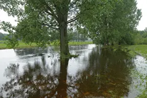 Dinkel: River Dinkel - flooded