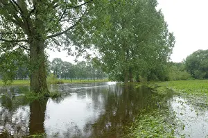 River Dinkel - flooded