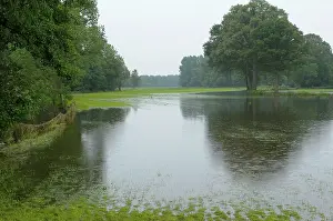 Dinkel: River Dinkel - flooded