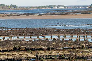 Bretagne: River Etel, Kergo with oyster farm