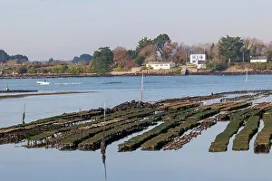 Bretagne: River Etel, Kergo with oyster farm