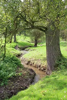 Rill: The river Gulp near Slenaken, Limburg
