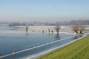 Dike: River IJssel - frozen, rimed foreland with dike