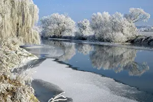 Course: River landscape with hoarfrost and ice, Eder, Guxhagen
