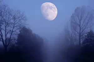 Moonlight: River landscape with the moon, composing