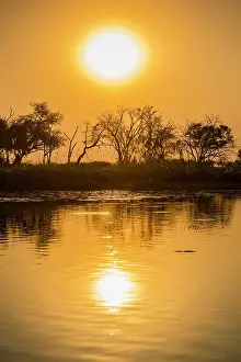 Okavango: River landscape in the Okavango Delta at sunset