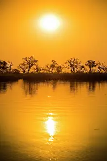 Okavango: River landscape in the Okavango Delta at sunset