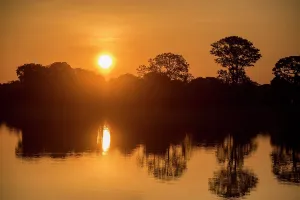 Negro: River landscape with Rio Negro at sunset, Fazenda