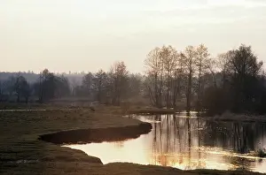 Bonasus: River Lesnaya in early morning