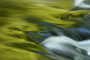 Artists: River Llugwy - Autumn