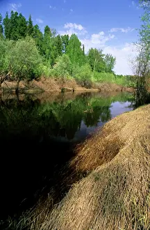 Negustyah: River Negustyah in middle current. Dark water is