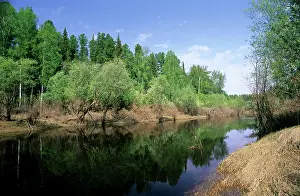 Negustyah: River Negustyah in middle current. Dark water is