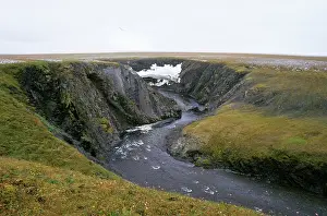 Siberia: River Obrivistaya - very close to Kara sea shore