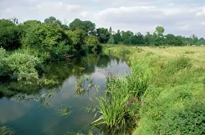 Ouse: River Ouse Bromham, Bedfordshire, UK