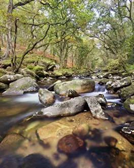Robur: The River Plym flowing through Dewerstone Woods