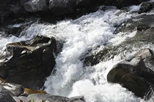 Waterfalls: River rapids rushing over large rocks
