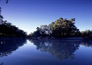 Camaldulensis: River red gums along Darling River