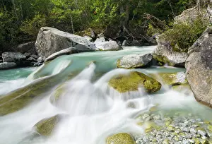 Parco: River Sarca. Val di Genova in the Parco Naturale