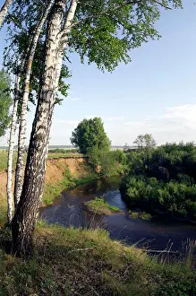 Fires: River Sinara bend - birch trees on the high bank