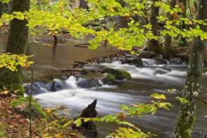 Skane: River Skaeran in autumn - Soederasen National Park