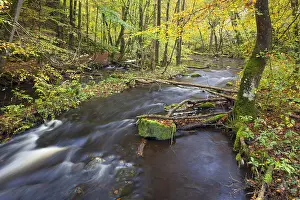 Skane: River Skaeran in autumn - Soederasen National Park