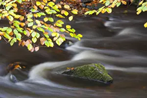 Skane: River Skaeran in autumn - Soederasen National Park