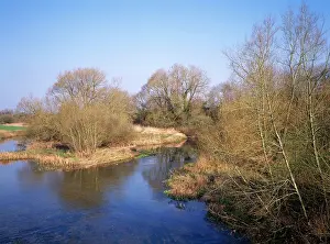 Stout: River Stout - in winter