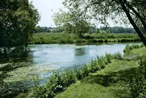 Test: River Test, Bansbury, Hampshire