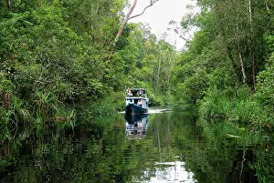Habtiat: River with tourist boat at Tanjung Puting national park