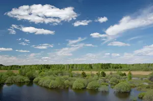 Ural: River Tura in North Ural Mountains - a typical