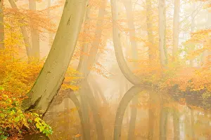 Twente: river Twickelervaart flowing through the autumn
