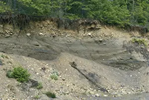 Coarse: Riverbank Sediments