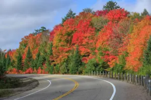 Blaze: Road through autumn forest, Algonquin Provincial