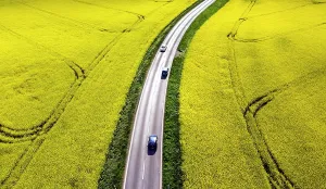 Energy: Road with cars next to rape fields, Nauen, 11.05.2022