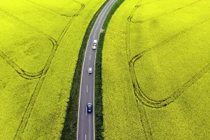 Energy: Road with cars next to rape fields, Nauen, 11.05.2022