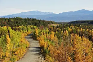 Avenue: Road in the Chilcotin Country between Williams Lake